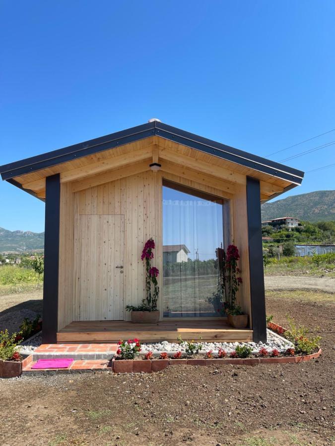 Fishta Guesthouse - Mrizi I Zanave Fishte Eksteriør bilde