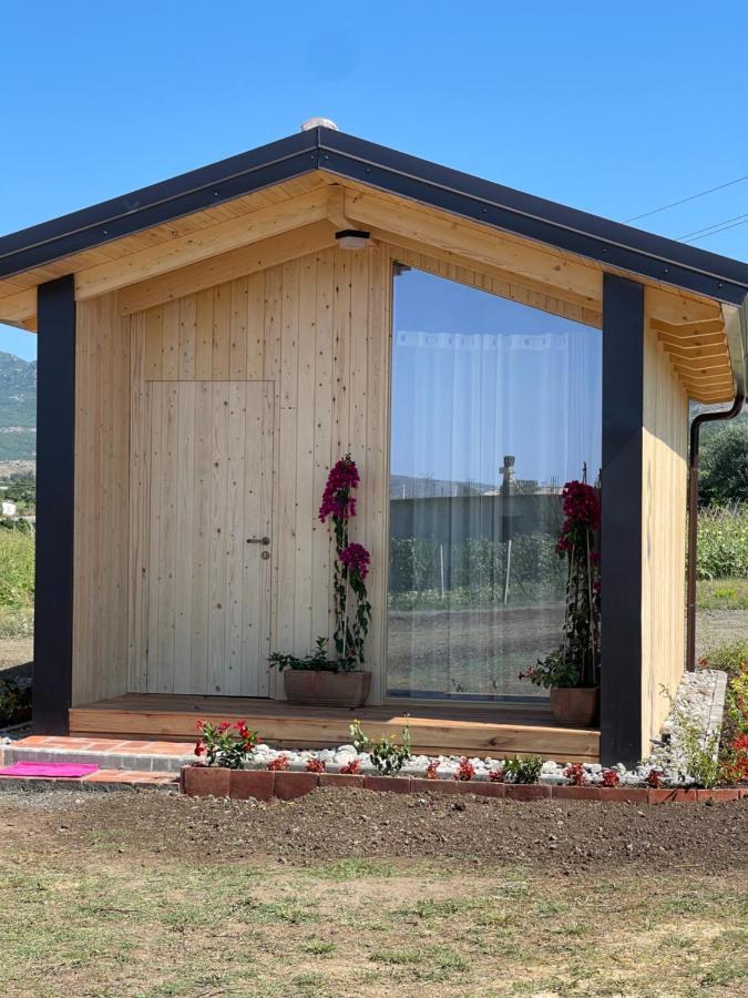 Fishta Guesthouse - Mrizi I Zanave Fishte Eksteriør bilde